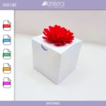 Caixa Cubo - Molde limpo